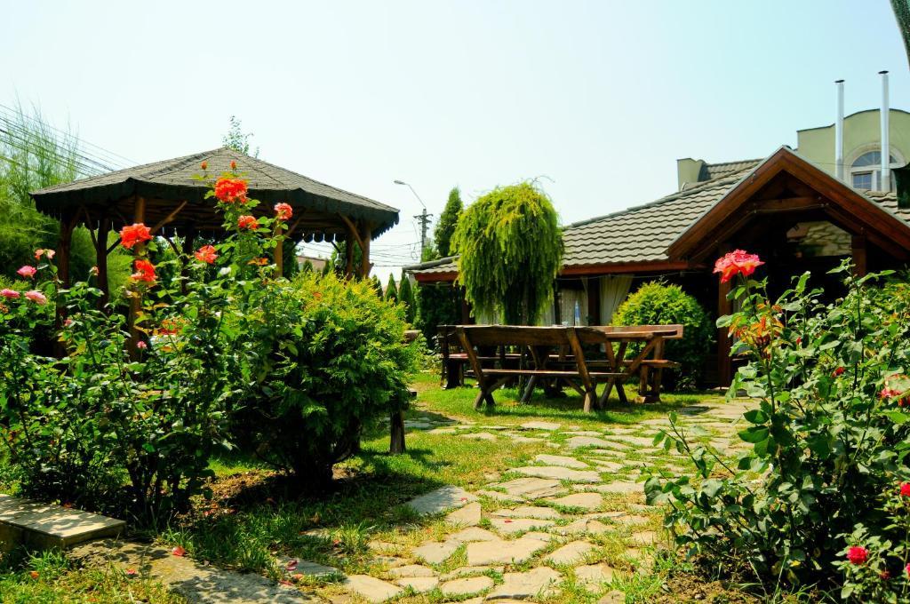 Pension La Cupola Târgu-Mureş Buitenkant foto