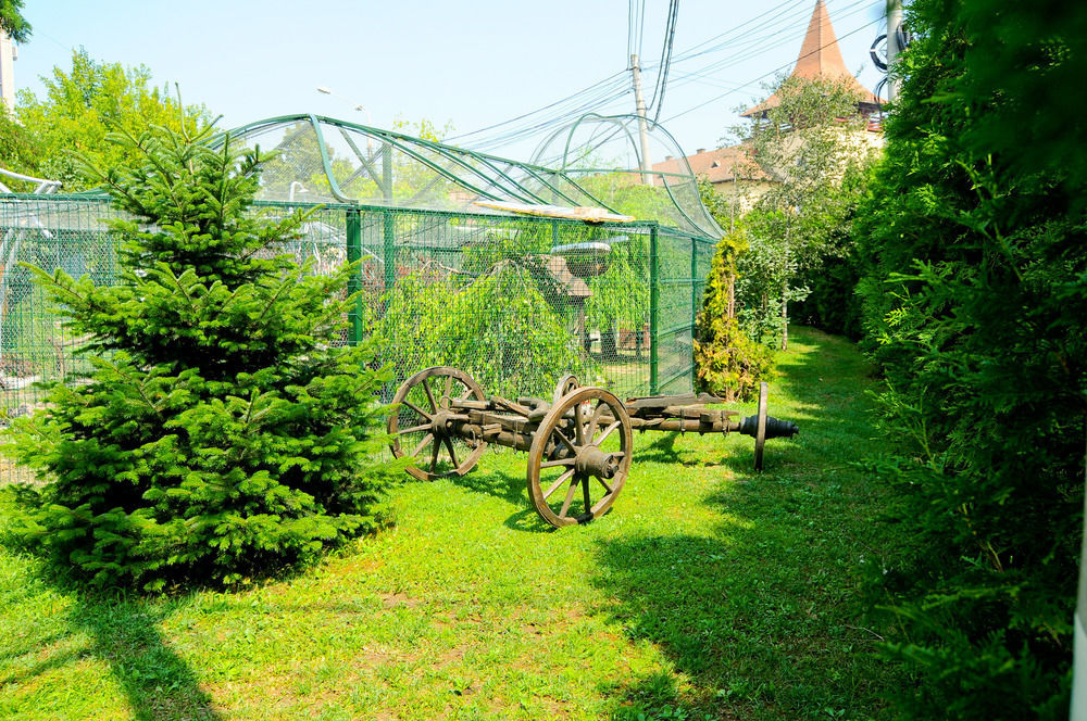 Pension La Cupola Târgu-Mureş Buitenkant foto