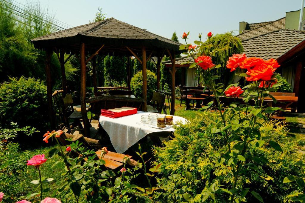 Pension La Cupola Târgu-Mureş Buitenkant foto
